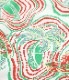 Lot No. SS39229 / RAYON HAWAIIAN SHIRT PANIOLO COUNTRY