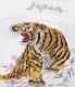 Lot No. TT78996 / SUKA T-SHIRT EMBROIDERED ��GOLD TIGER��