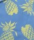 Lot No. DK26793 / DUKE KAHANAMOKU SPECIAL EDITION ��DUKE'S PINEAPPLE�� (LONG SLEEVE)