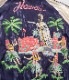 Lot No. TT14813-128 / Mid 1950s Style Acetate Souvenir Jacket KING KAMEHAMEHA  UKULELE