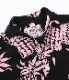 2026ǯ�ղ�����ͽ�� / Lot No. DK36201 / DUKE KAHANAMOKU SPECIAL EDITION ��DUKE'S PINEAPPLE�� (SHORT SLEEVE)