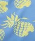 2026ǯ�ղ�����ͽ�� / Lot No. DK36201 / DUKE KAHANAMOKU SPECIAL EDITION ��DUKE'S PINEAPPLE�� (SHORT SLEEVE)