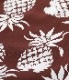 2026ǯ�ղ�����ͽ�� / Lot No. DK36201 / DUKE KAHANAMOKU SPECIAL EDITION ��DUKE'S PINEAPPLE�� (SHORT SLEEVE)