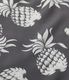 2026ǯ�ղ�����ͽ�� / Lot No. DK36201 / DUKE KAHANAMOKU SPECIAL EDITION ��DUKE'S PINEAPPLE�� (SHORT SLEEVE)