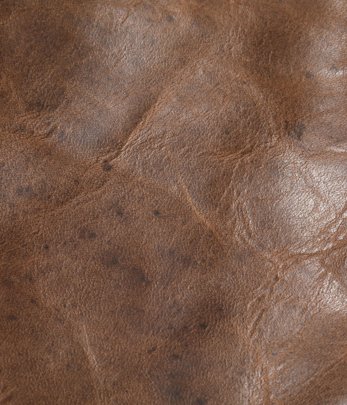 Lot No. BR80662 / Type B-2 ��WERBER LEATHER COAT CO., INC.��