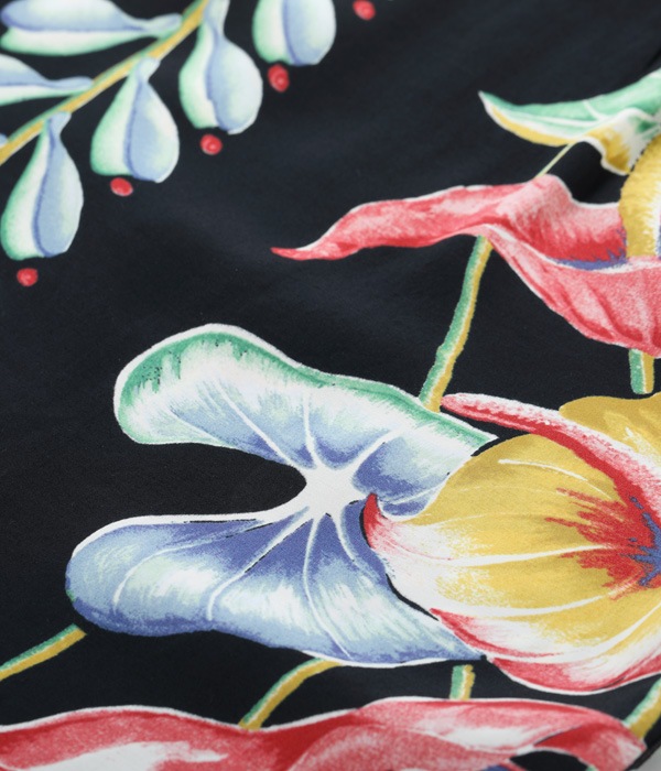 Lot No. SS38867 / SUN SURF SPECIAL EDITION ANTHURIUM