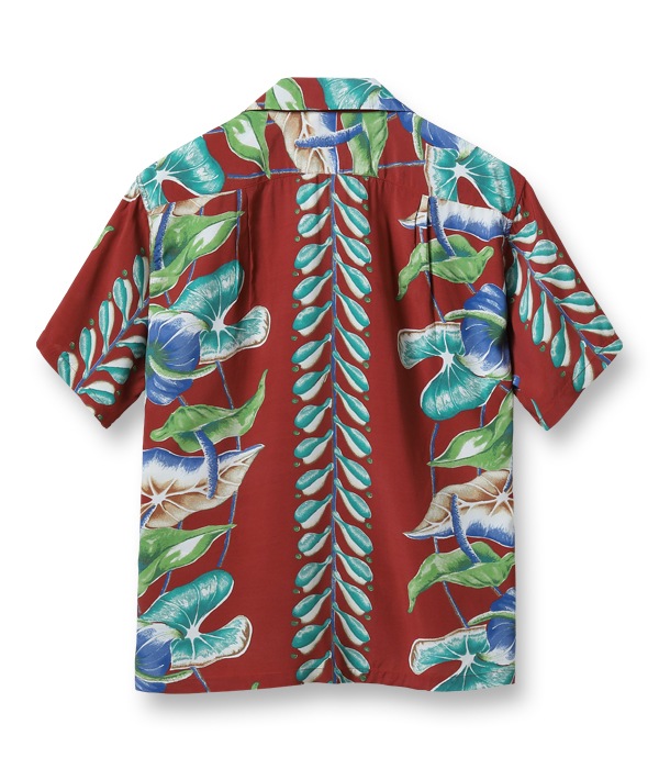 Lot No. SS38867 / SUN SURF SPECIAL EDITION ANTHURIUM