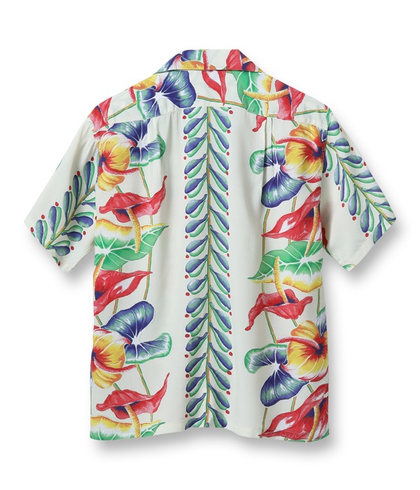 Lot No. SS38867 / SUN SURF SPECIAL EDITION ANTHURIUM