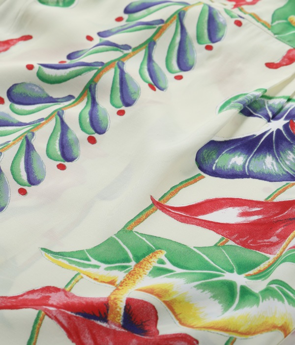 Lot No. SS38867 / SUN SURF SPECIAL EDITION ANTHURIUM