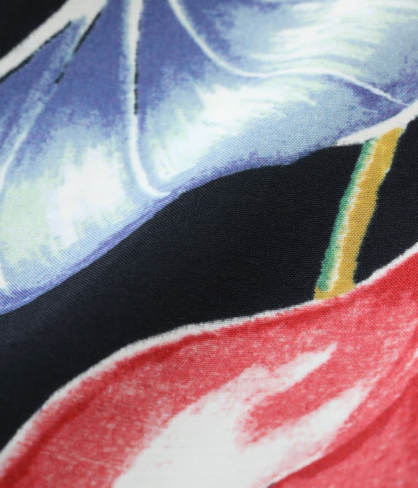 Lot No. SS38867 / SUN SURF SPECIAL EDITION ��ANTHURIUM��