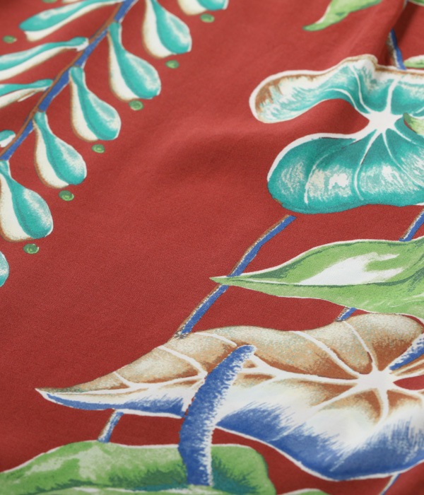 Lot No. SS38867 / SUN SURF SPECIAL EDITION ��ANTHURIUM��