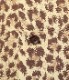 Lot No. SH39080 / HIGH DENSITY RAYON OPEN SHIRT ��LEOPARD��
