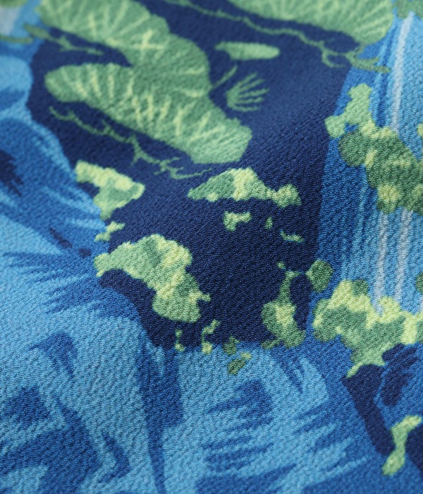 Lot No. SS38868 / SUN SURF SPECIAL EDITION CARP