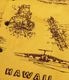 Lot No. SS39698 / COTTON BROAD HAWAIIAN SHIRT ��ISLAND AVIATION��