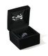 Lot No. BR02902 / SILVER RING U.S. ARMY AIR FORCES