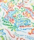 Lot No. SS39211 / RAYON HAWAIIAN SHIRT ��GUARDIAN SPIRIT��