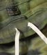 Lot No. BR52659 / TIE DYE CAMOUFLAGE SWEAT SHORTS