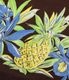 2026ǯ6��3������ / Lot No. DK29637 / DUKE KAHANAMOKU SPECIAL EDITION ��ORCHID AND PINEAPPLE�� (LONG SLEEVE)