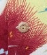 Lot No. SS38569 / RAYON HAWAIIAN SHIRT ��SPARROW FLY AROUND��