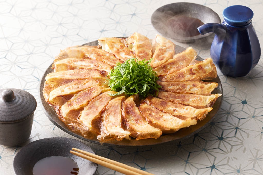 名古屋コーチン餃子 　Ｈ-333　（熨斗・包装対応不可商品）