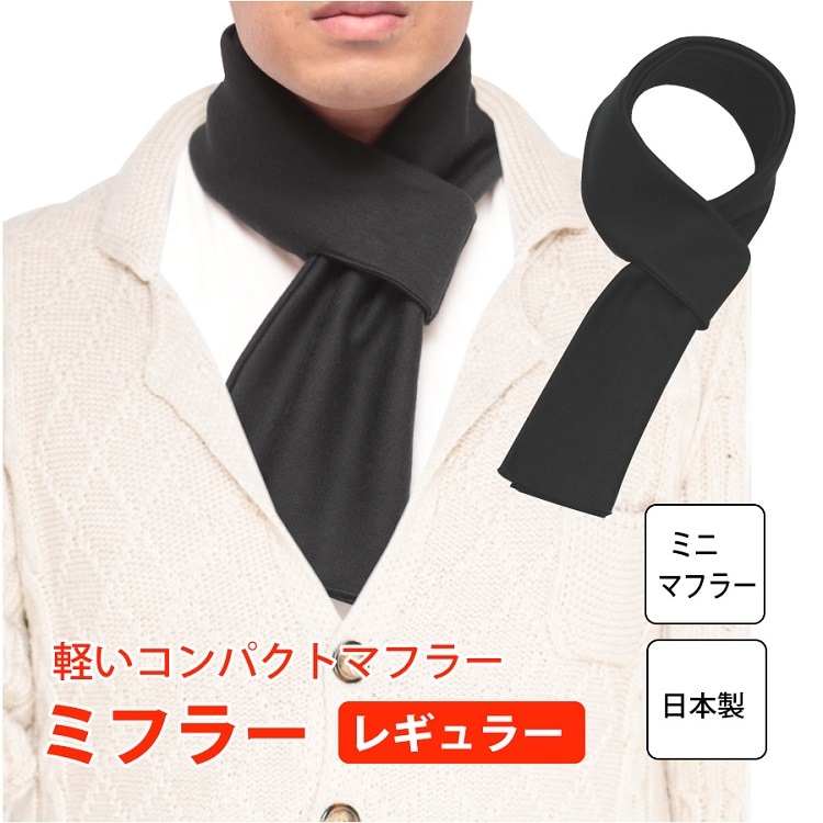 ��� �ߥե顼�ʥ쥮��顼��