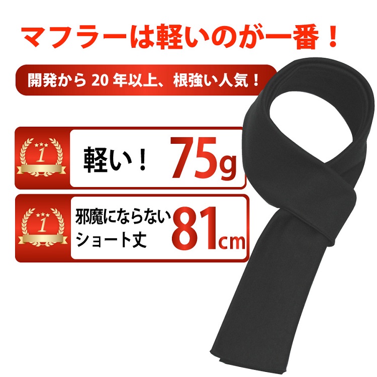 ��� �ߥե顼�ʥ쥮��顼��