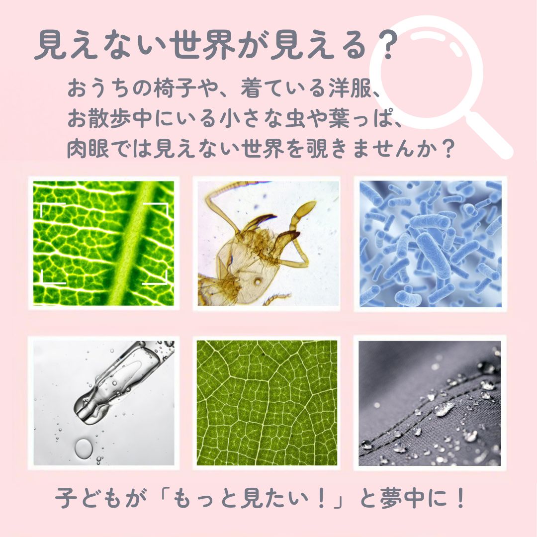 �ǥ�����ϥ�ǥ�������