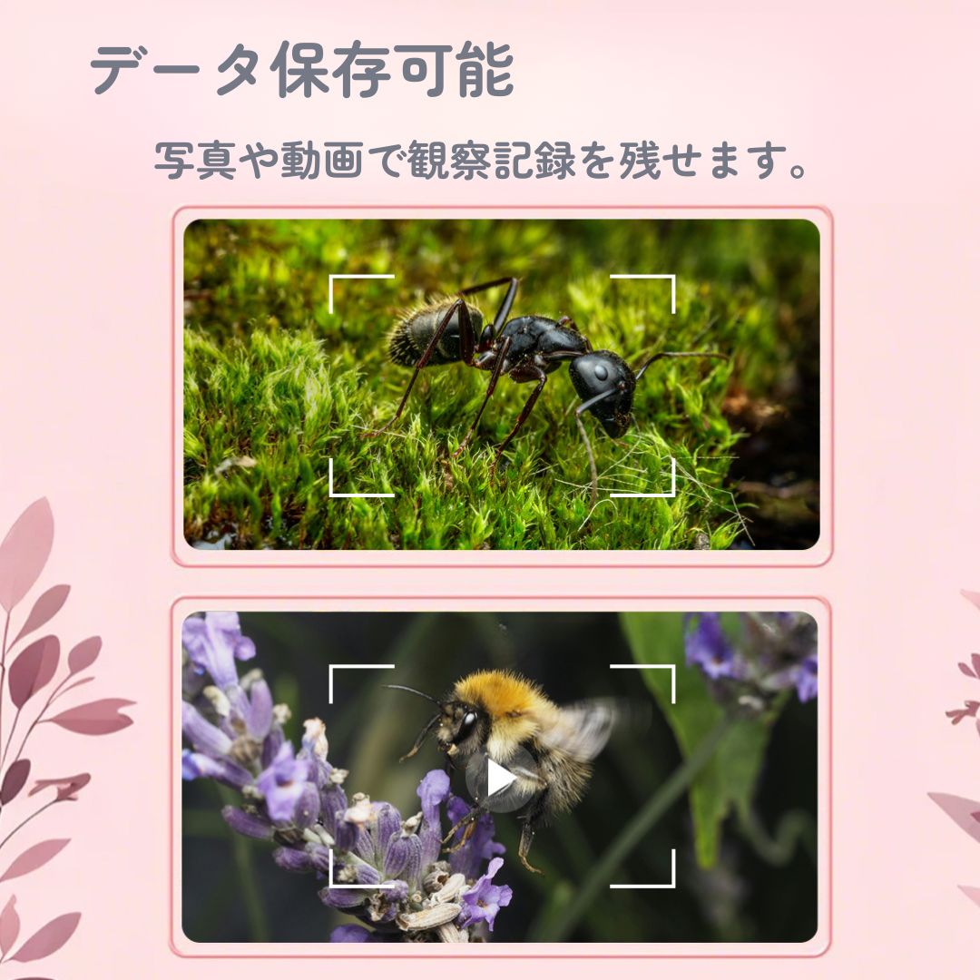 �ǥ�����ϥ�ǥ�������