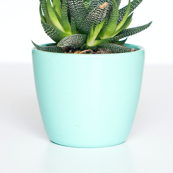 植木鉢　カラー・サイズ選択