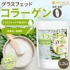 ���饹�ե��å� ���顼���� 1.2kg ����0�����0 ̵������̵�忧 �����顼����ڥץ��� NICHIGA(�˥���) TK1