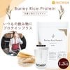 �㥷�������� ���åȡ�С��꡼���饤���ץ��ƥ��� 1.2kg  ��ʪͳ��ץ��ƥ��� �ץ��ȥ١��� ��������̣������¸���Ի��� NICHIGA(�˥���) TK1