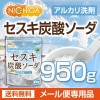 ú 950 ڥ᡼̵ 륫 [01] NICHIGA(˥)