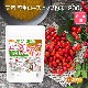 ŷ�� �����������ҥå�ʴ�� 200�� �ڥ᡼��������̵���� ������¤ ���껳�����˼����������ҥå׻��� [05] NICHIGA(�˥���) ��α���������»ܺѤ�