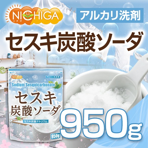 ú 950 륫 [02] NICHIGA(˥)