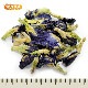 �Х��ե饤�ԡ� 25�� Butterfly Pea �Ĥ����� �Υ󥫥ե����� ̵�忧 ̵���� [02] NICHIGA(�˥���)