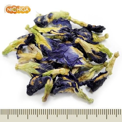 �Х��ե饤�ԡ� 100�� Butterfly Pea �Ĥ����� �Υ󥫥ե����� ̵�忧 ̵���� [02] NICHIGA(�˥���)