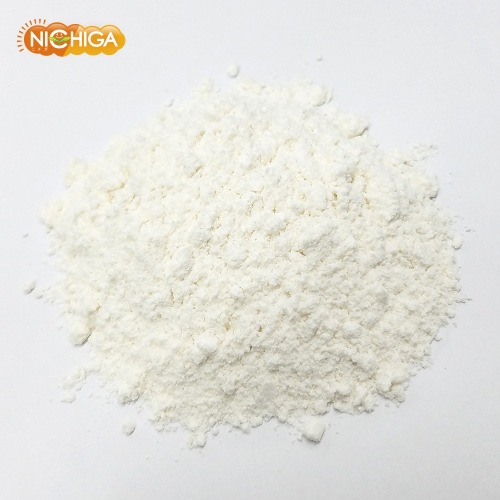 ��Ʀ��ʪ���ݡʥ����ե����С��� 100�� �ڥ᡼��������̵���� ����0���� IP������Ʀ����(ʬ������ή�̴���) �ʲ�����������ѥ����� [04] NICHIGA(�˥���)