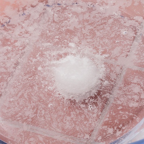 ���ú������ޥ��åȡ� ���� SILK TAB 5�� �ܡ�γ�������סӻ೤�α� Dead Sea Salt �����ޥ��ͥ����� 3.5��� NICHIGA(�˥���) TK1