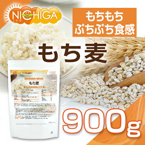 ����� 900�� �������פ��פ������� [02] NICHIGA(�˥���)