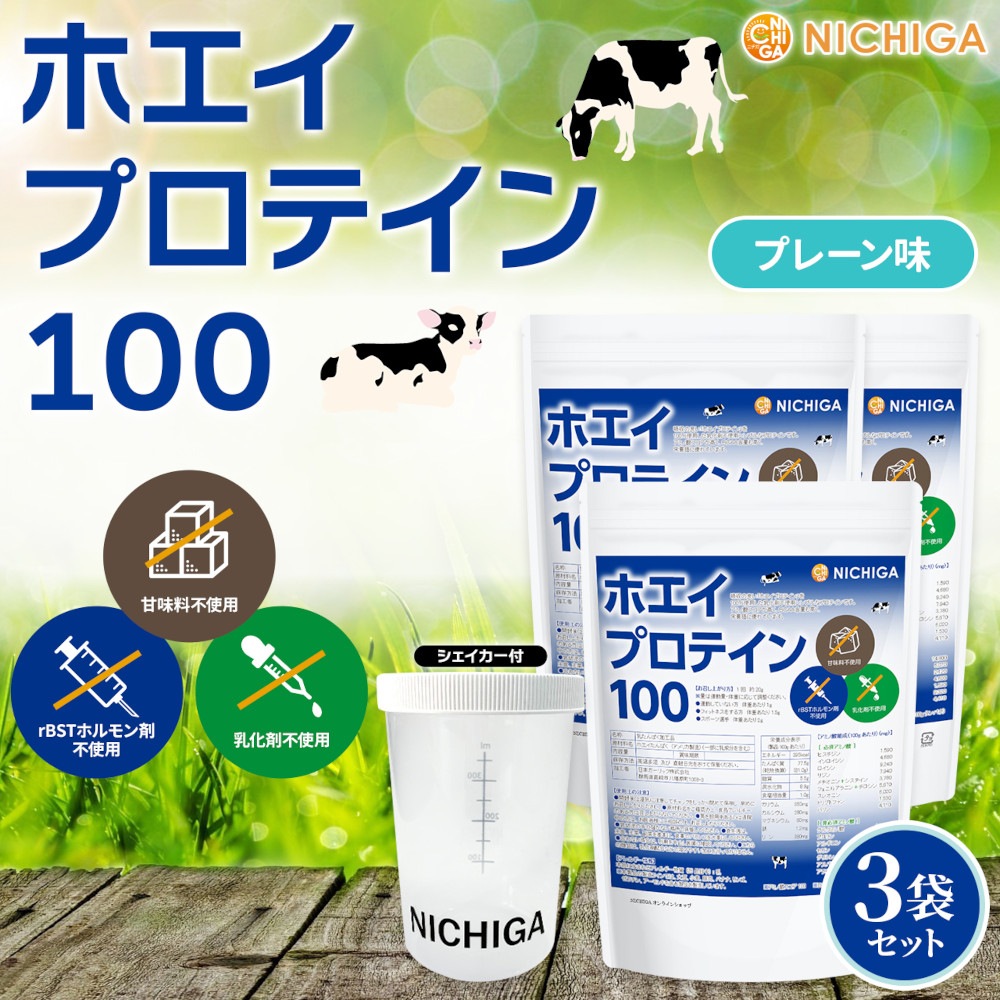 㥷 åȡۥץƥ100 ץ졼̣ 13 Ի rBST (ĹۥԻ) WPC NICHIGA(˥) TK2