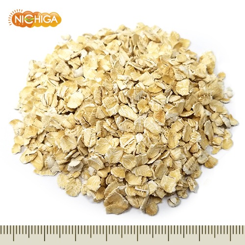 ȥߡʥåġ 500 ڥ᡼̵ ¤ [05] NICHIGA(˥)