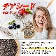 ���������ɡ�CHIA SEEDS�� 200�� �ڥ᡼��������̵���� ���⻦���� ���ե�ȥ����󸡺� ��α���������� [05] NICHIGA(�˥���)