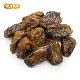 ���� �ɥ饤 �ǡ��� ��ʤ� 400�� �����Ի��ѡ���GI���ʥɥ饤�ե롼�� �����䡼�ǡ��� [02] NICHIGA(�˥���)