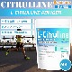 L-ȥL-Citrulline˹¤ 600 ʪͳ ߥλ Իѡ͹̣Ի [02] NICHIGA(˥)