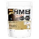HMB POWDER�ʹ�����¤�� 500�� �����Ի��� ��̣���Ի��� HMB-ca 100�� �Υ�ե졼�С� [02] NICHIGA(�˥���)