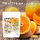 �̼¤ޤ뤴�� ���祪��� 80�� ��̣���Ի��� orange peel �����ʲ̼»��� �ϡ��֥ƥ��� [02] NICHIGA(�˥���)