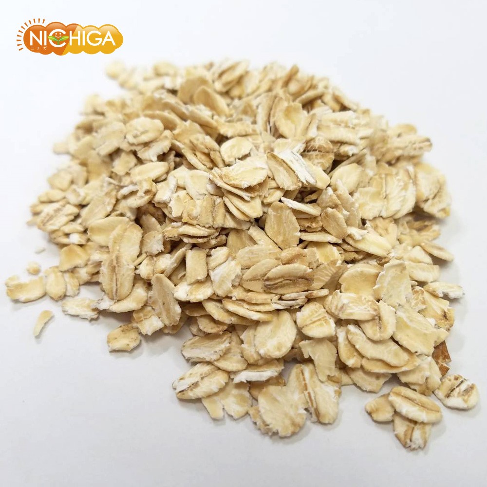 �����ȥߡ��� 500�� �ڥ᡼��������̵���� (������¤) �������� 100�� ��¸�����忧���Ի��� [05] NICHIGA(�˥���)