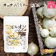 ˥ѥ 200 ڥ᡼̵ Onion Powder ȤϤ줿ޤͤ100 [04] NICHIGA(˥)