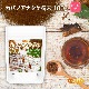 ���ХΥ��ʥ��� ʴ�� 100�� �ڥ᡼��������̵���� ���㡼�� ���Υ��� ���Υ�������� ��������100�� [04] NICHIGA(�˥���)