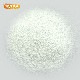 �ڥѥ������̷ۣ�ȯ���������륷���� (������¤) 610�� �ڥ᡼��������̵���� Non-GMO ż��ͳ�� ��ڤ�����줿���륷���� [01] NICHIGA(�˥���)